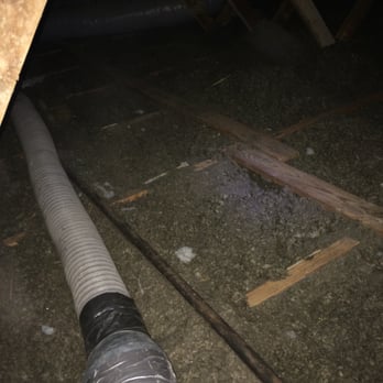 Critter Ridder Texas - Soiled insulation prior to extraction during attic restoration. - Wildlife Control Near Me - Austin, Texas