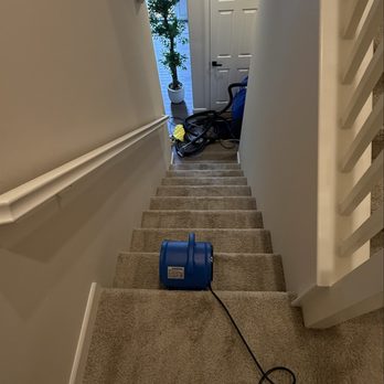 Luudvi Pro Clean - Carpet Cleaning Near Me Luudvi Pro Clean - Carpet Cleaning Near Me