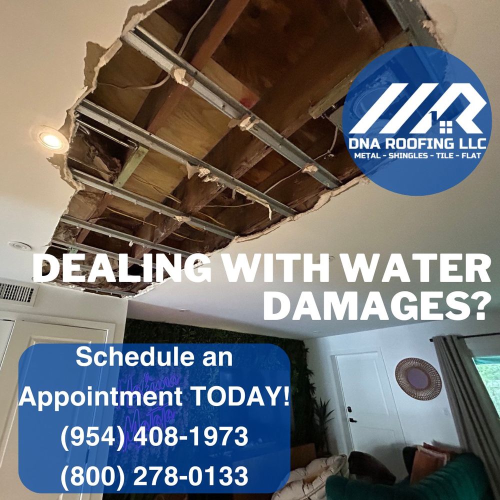 Slide of DNA Roofing