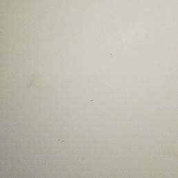 Filthy walls after they moved my boxes up the stairs.