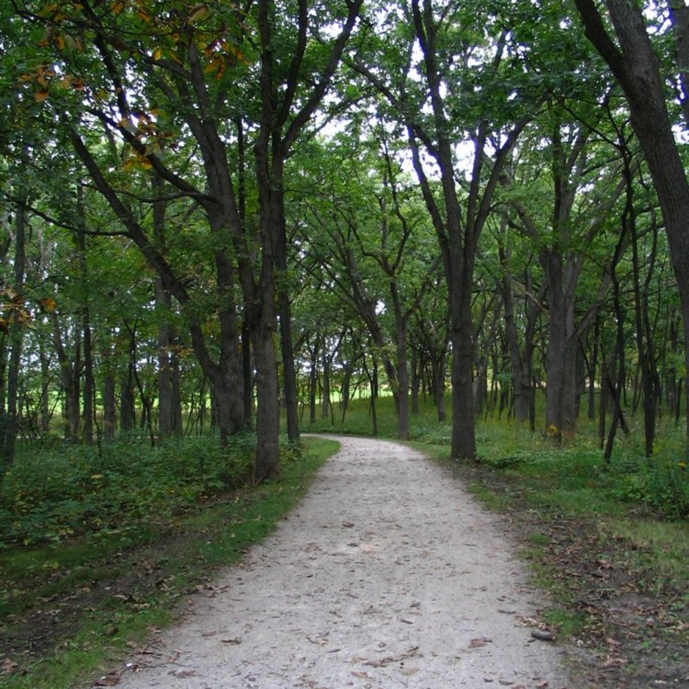 Moraine Hills State Park - Northern Woods Trail @ Moraine Hills State Park - Parks Near Me - McHenry, Illinois Moraine Hills State Park - Northern Woods Trail @ Moraine Hills State Park - Parks Near Me - McHenry, Illinois
