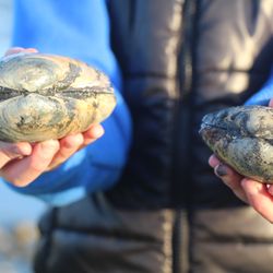 Charleston Marina & RV Park - Clamming next to the RV Park
