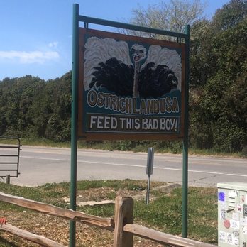 Ostrichland USA - Attraction Farms Near Me - Solvang, California Ostrichland USA - Attraction Farms Near Me - Solvang, California