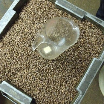 Lola Savannah - Coffee Roasteries Near Me - Houston, Texas