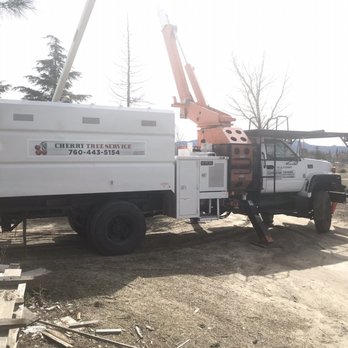 Cherry Tree Service - Tree Services Near Me Cherry Tree Service - Tree Services Near Me