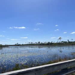 Savannas Preserve State Park