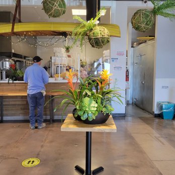 Johnny Pacific - Latin American Near Me - Winnetka, California