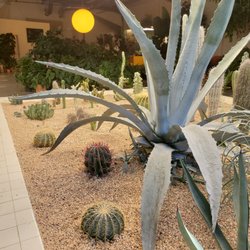 Paradise Garden Club