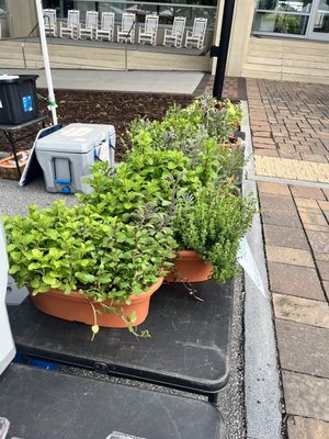 Sandy Springs Farmers Market by null