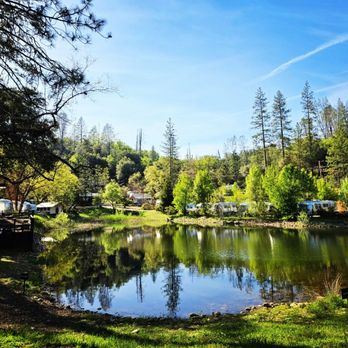 AutoCamp Yosemite - Hotels Near Me - Midpines, California AutoCamp Yosemite - Hotels Near Me - Midpines, California