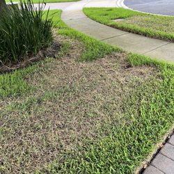 Luv A Lawn & Pest Control - Spray pattern in lawn