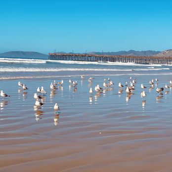 The Cliffs Hotel and Spa - Hotels Near Me - Pismo Beach, California The Cliffs Hotel and Spa - Hotels Near Me - Pismo Beach, California