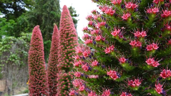 Kyoto Botanical Gardens by null