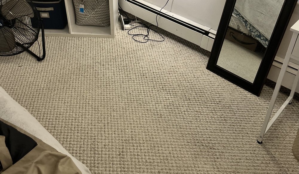 MOONLIGHT CARPET CLEANERS Updated October 2024 50 Photos & 47