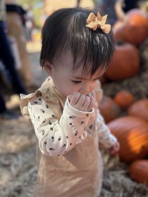 The Dallas Arboretum and Botanical Garden by null