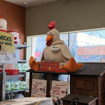 Mike's Feed & Pets - Pet Stores Near Me - San Leandro, California Mike's Feed & Pets - Pet Stores Near Me - San Leandro, California