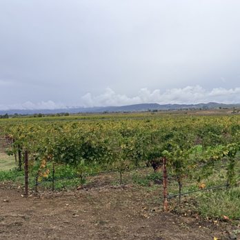 Jacuzzi Family Vineyards - Wineries Near Me - Sonoma, California Jacuzzi Family Vineyards - Wineries Near Me - Sonoma, California