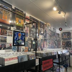 Vinyl Asylum - Vinyls