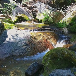 Yosemite Fly Fishing - Even a beautiful and thin stream can have many trout hiding...
