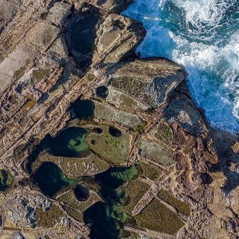 Sydney Guided Tours - Stunning mermaid tide pools! - Bus Tours Near Me