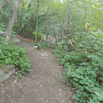 Hidden Valley Park Trail - Lots of trees lining the trail - Hiking Near Me - Sandy, Utah