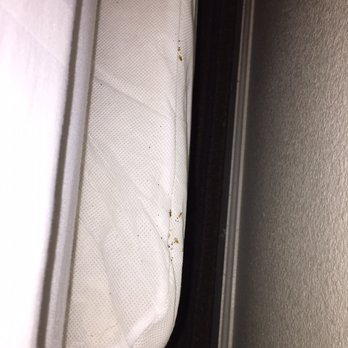 Best Western Clovis Cole - Further image of Bed Bugs in room 200 something - Hotels Near Me - Clovis, California