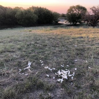 Ben Hur Bar - a view of a grassy field with white flowers in the foreground - Dive Bars Near Me - Groesbeck, Texas