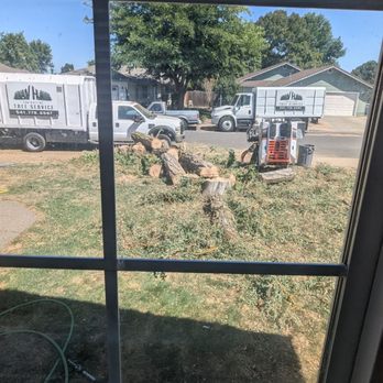 VH Contracting - Tree Services Near Me VH Contracting - Tree Services Near Me