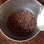 Photo of cafe bola de oro