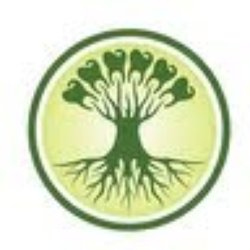 GreenRoot Endodontics & Microsurgery - GreenRoot