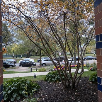 Brookdale Lakeview - Retirement Homes Near Me - Chicago, Illinois