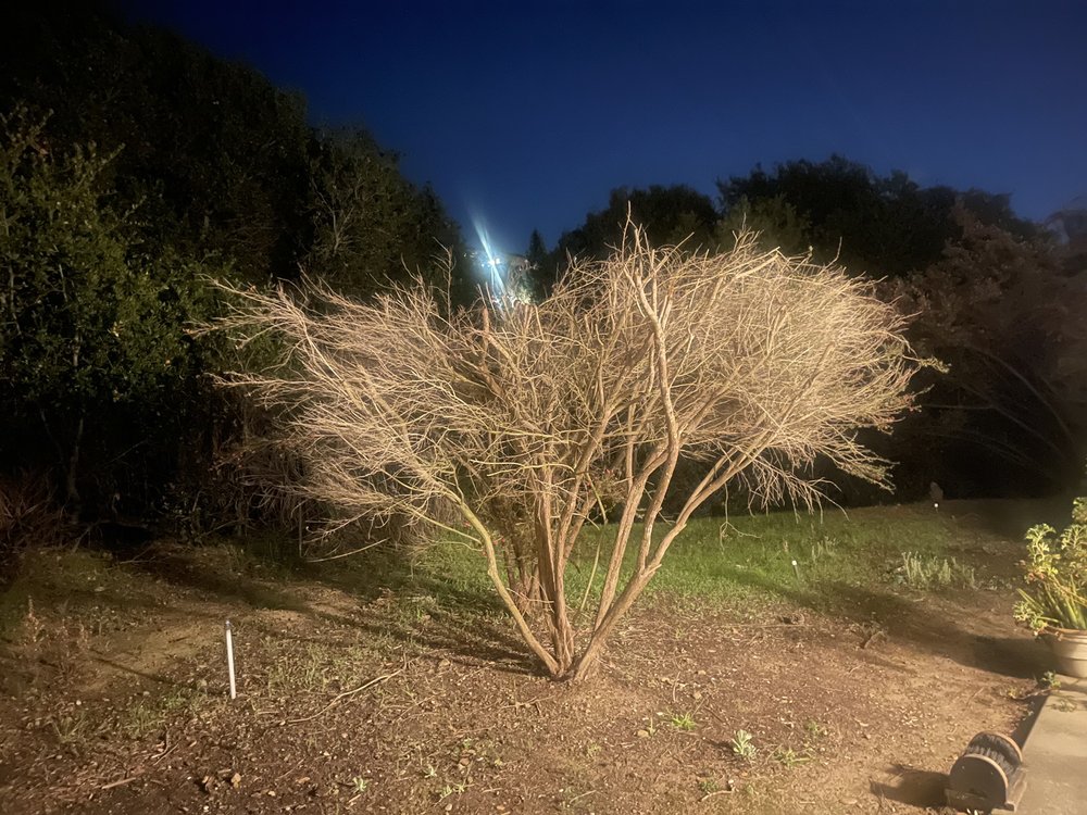 BRIGHTVIEW LANDSCAPE SERVICES Updated September 2024 20551 Corsair