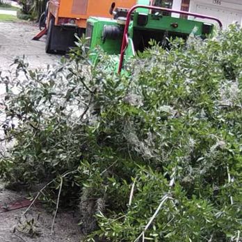J Trimming Tree Service - Debris clean up - Tree Services Near Me - Orlando, Florida J Trimming Tree Service - Debris clean up - Tree Services Near Me - Orlando, Florida