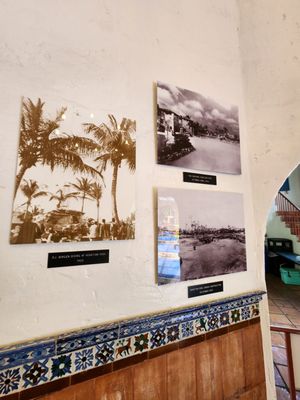 Venetian Pool by null
