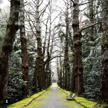 Parque Terra Nostra - Parks Near Me - Furnas, 20