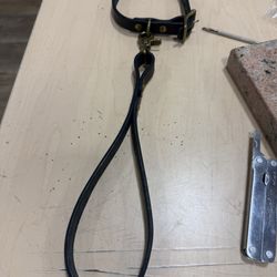 Tandy Leather - I'm pretty proud of my collar and leash