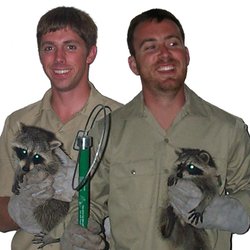 Wildlife Removal Riverside