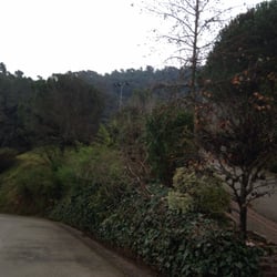 Can Biel - Entorno,jardines
