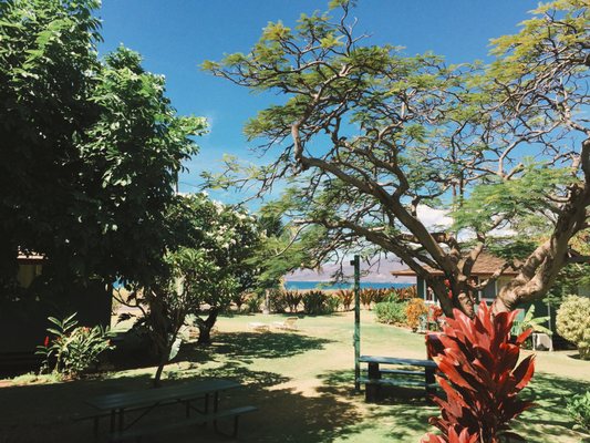 Nona Lani Cottages by null