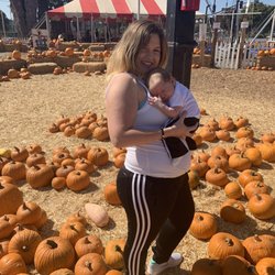 Tom's Adventures Pumpkin Patch & Christmas Trees - San Marcos