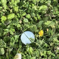 North Star Golf Club