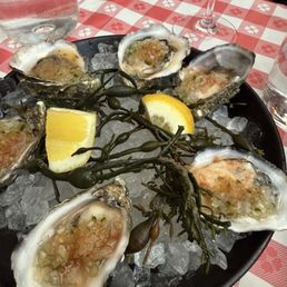 Oysters Oysters