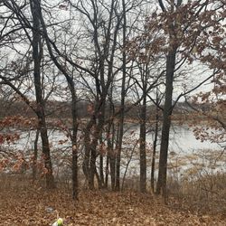 Camelot Park - View of Camelot lake from picnic area