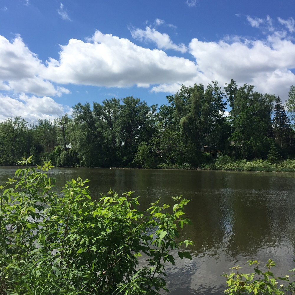 Mill Pond Park - How beautiful! - Parks Near Me - Richmond Hill, Ontario Mill Pond Park - How beautiful! - Parks Near Me - Richmond Hill, Ontario