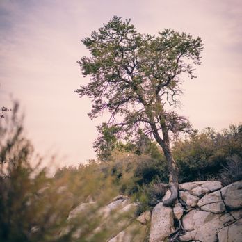 Keystone Thrust Trail - Hiking Near Me - Las Vegas, Nevada