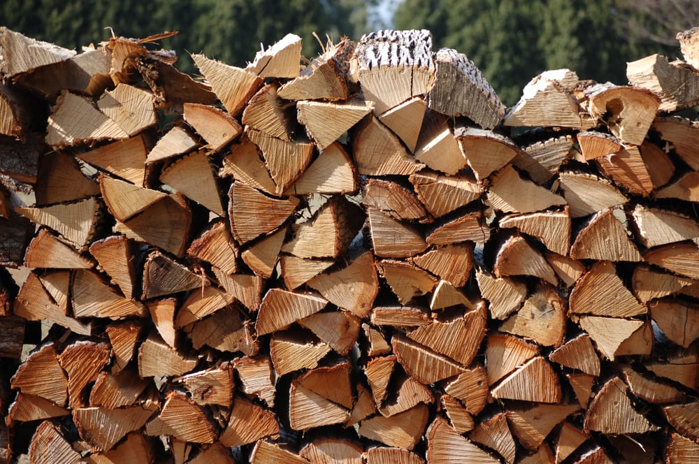 Mark's Stump Grinding - tree service in Charlotte, NC