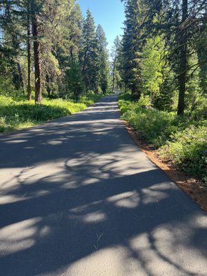 Ponderosa State Park by null