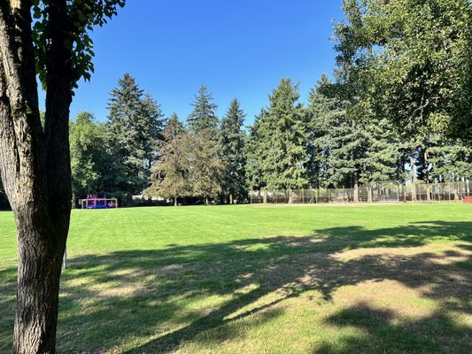 Peninsula Park Rose Garden by null
