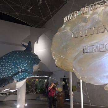 The Mind Museum - Museums Near Me - Taguig, NCR