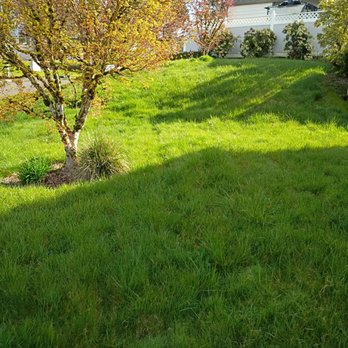 Call Oscars Landscaping Junk Removal - Long grass - Junk Removal & Hauling Near Me - Vancouver, Washington Call Oscars Landscaping Junk Removal - Long grass - Junk Removal & Hauling Near Me - Vancouver, Washington